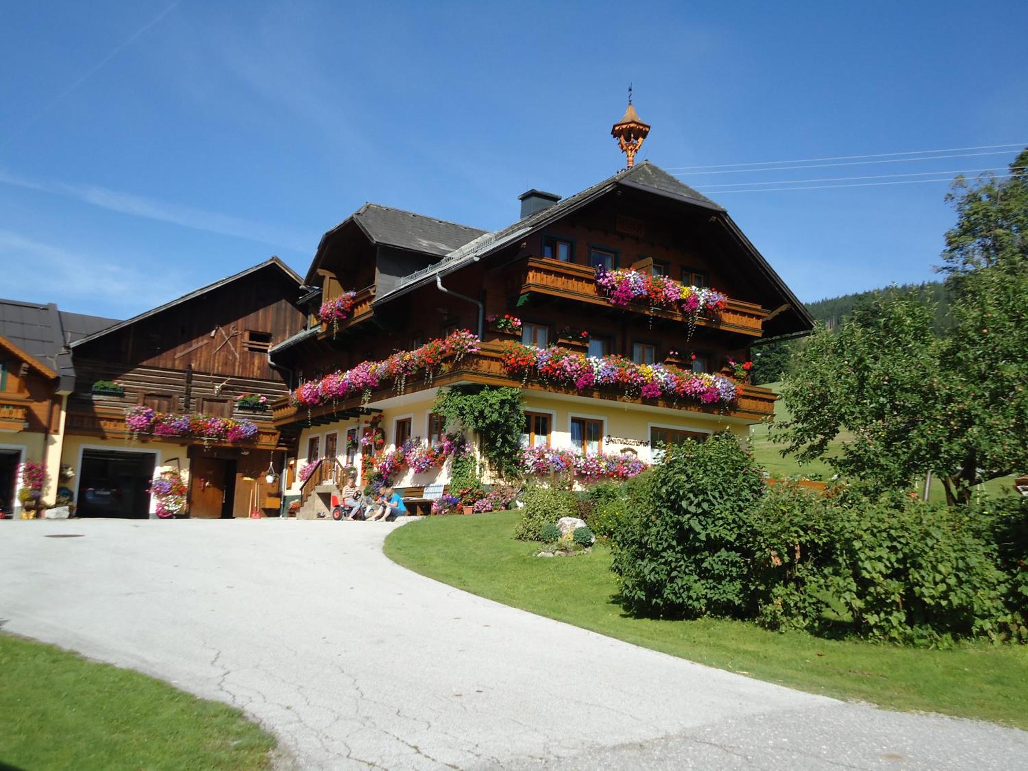 Pension-Greimelbacherhof Ramsau am Dachstein Exterior foto