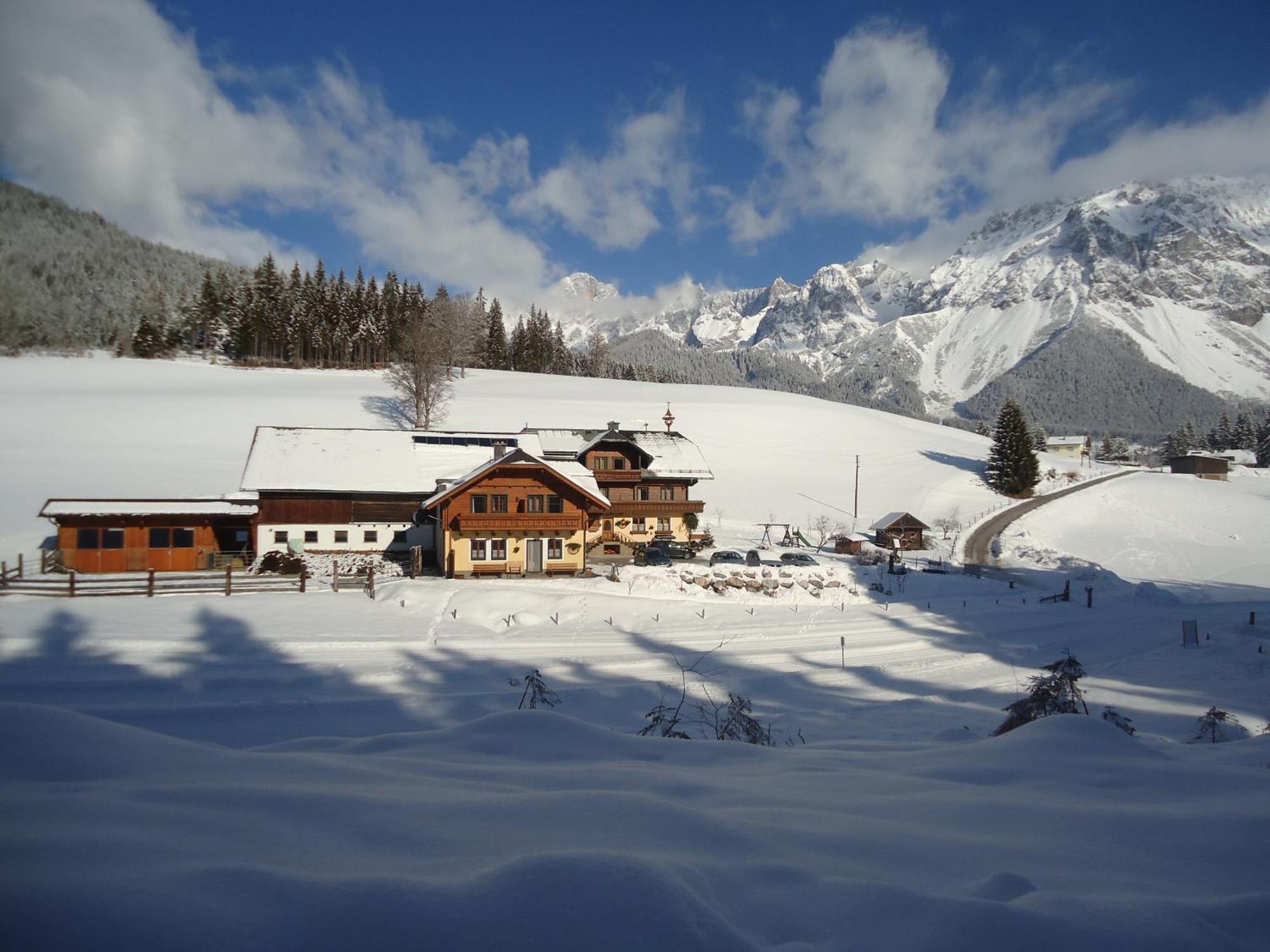Pension-Greimelbacherhof Ramsau am Dachstein Exterior foto